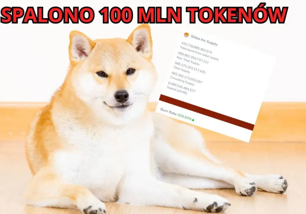 Kryptowaluta Shiba Inu: Fenomen rynku czy ryzykowna inwestycja?