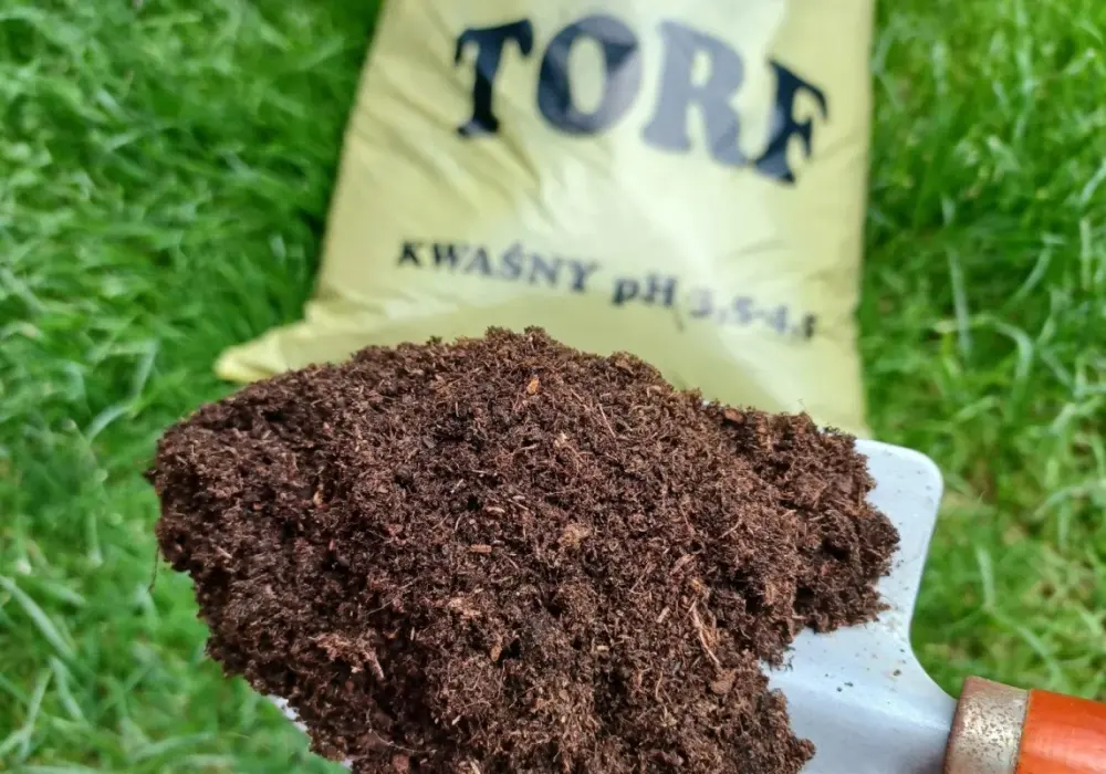 Torf w ogrodzie - kiedy pomaga, a kiedy lepiej go ograniczyć
