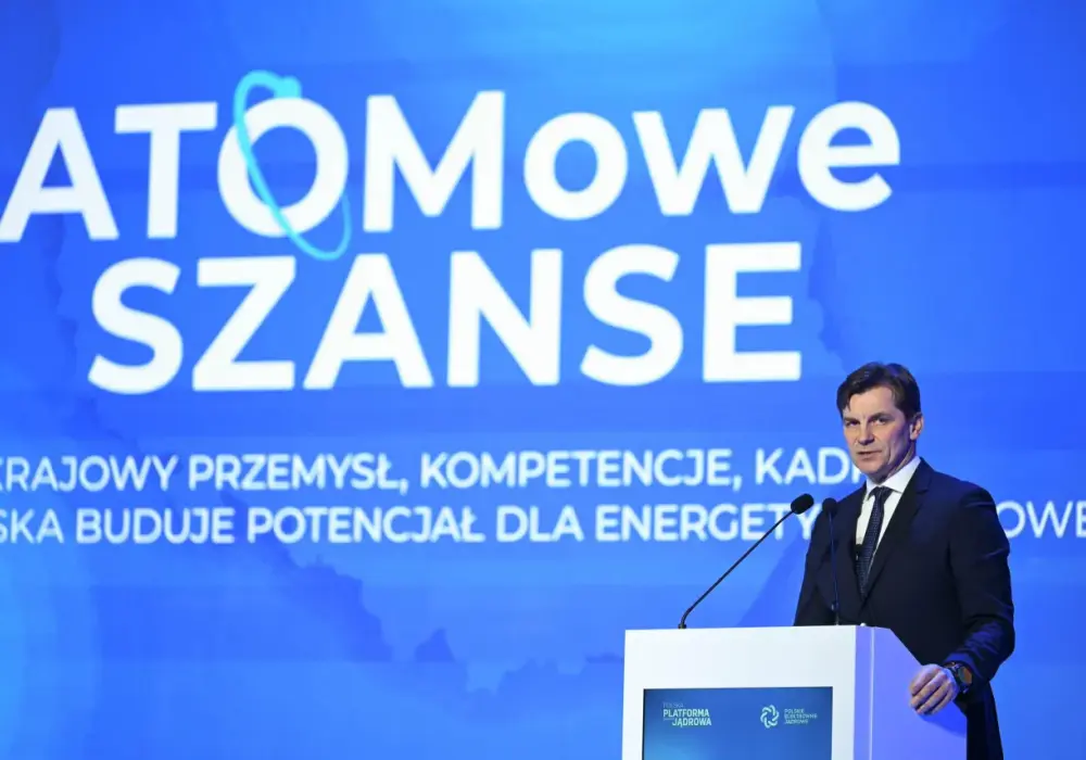 Atom w Polsce - technika, ekonomia i ryzyka projektu