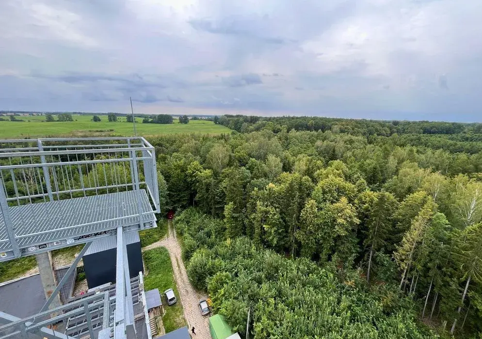 Wieża widokowa w Mamerkach - Panorama Puszczy Wkrzańskiej | Wjedź na szczyt!