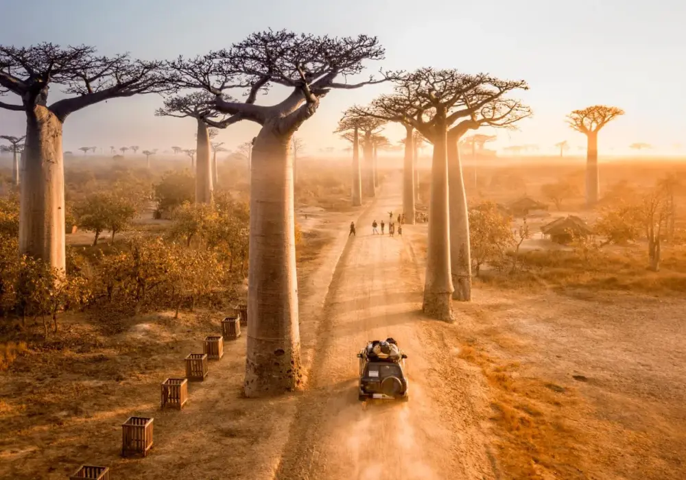Madagaskar kiedy jechać: najlepszy czas na niezapomnianą podróż