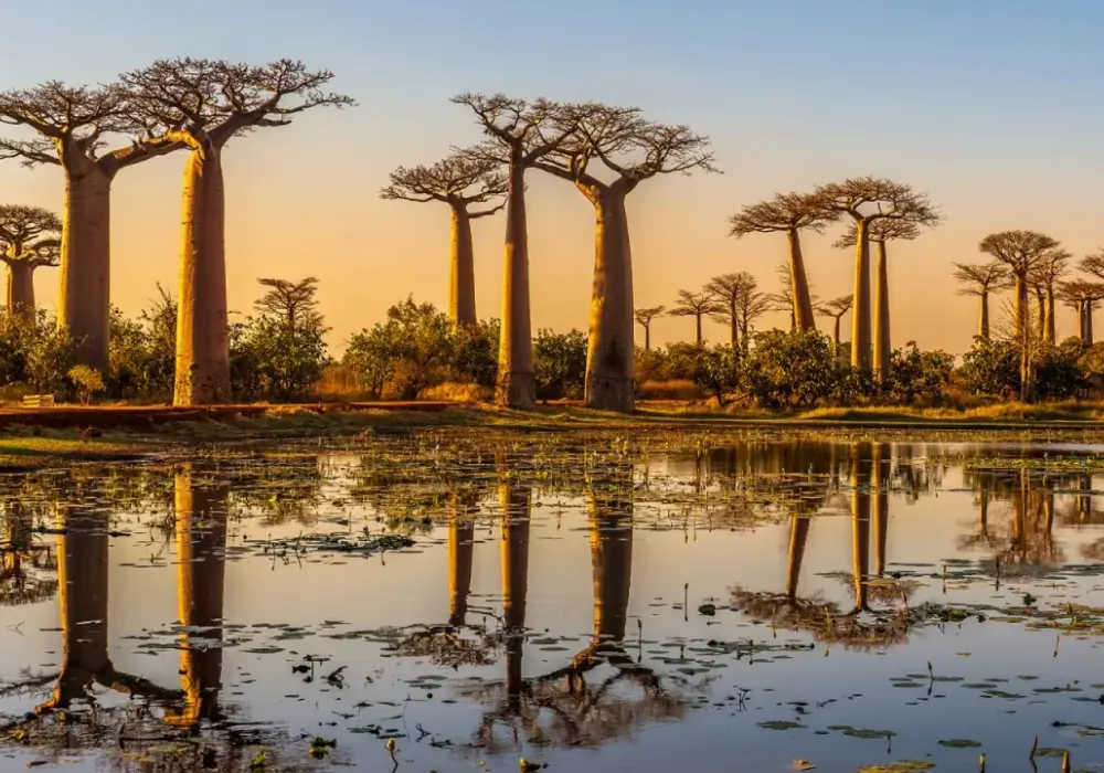 Madagaskar - Kiedy pora deszczowa i najlepszy czas na podróż?