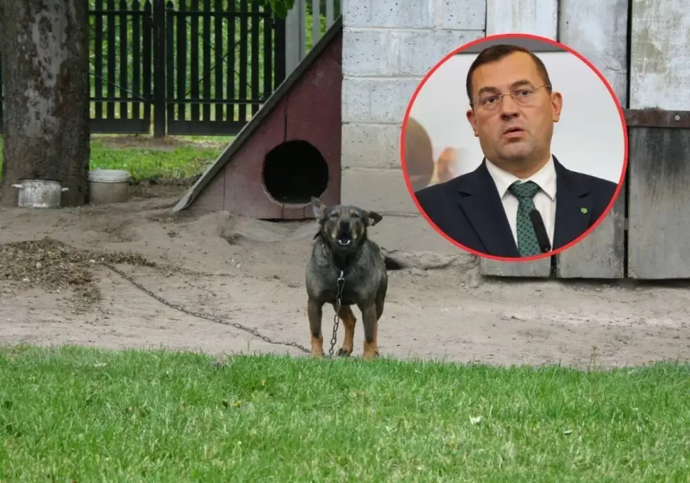 Dofinansowanie na hodowlę psów: Jak zdobyć środki w 2026?