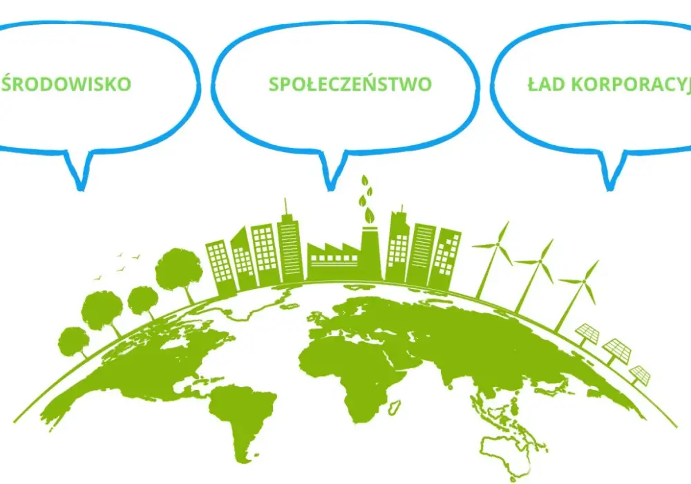Społeczeństwo i ład społeczny - Jak to działa?