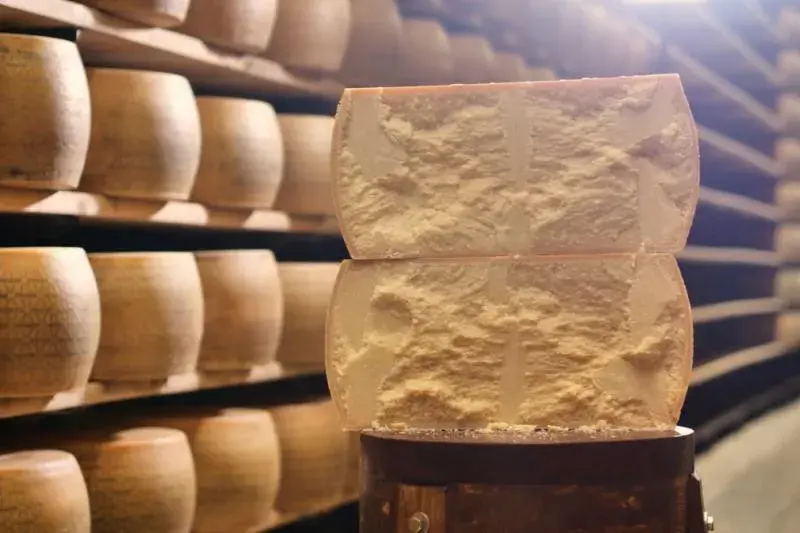 Jak powstaje parmezan? Odkryj tajemnice tradycyjnego procesu produkcji