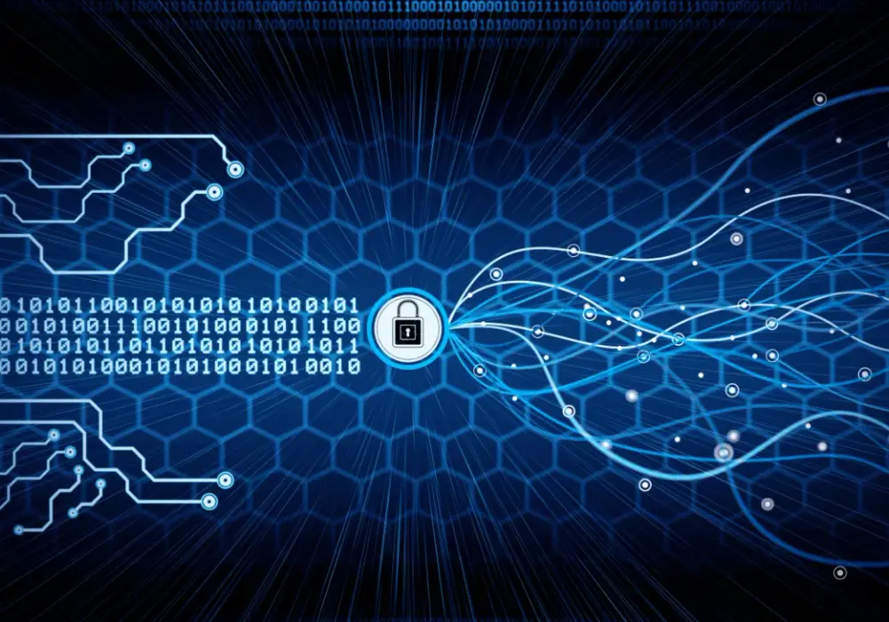 Analiza działań cyberprzestępców przed świętami – raport F5 Labs