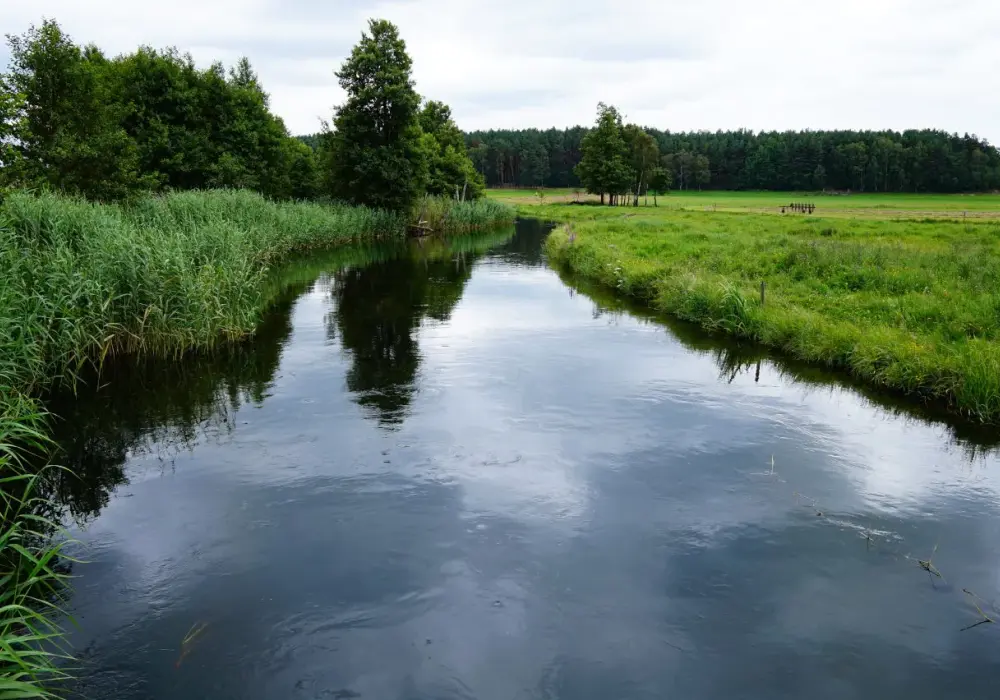 Spływy kajakowe pomorskie - odkryj najpiękniejsze trasy i przygody