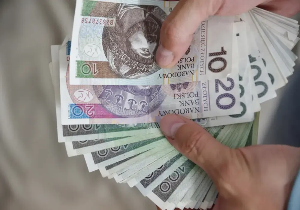 Świadczenie wspierające - Jak uniknąć błędów i dostać więcej?