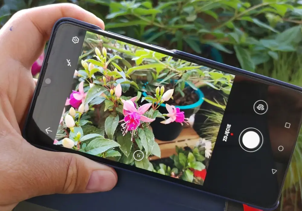 PlantSnap - rozpoznawanie roślin ze zdjęć. Czy warto?
