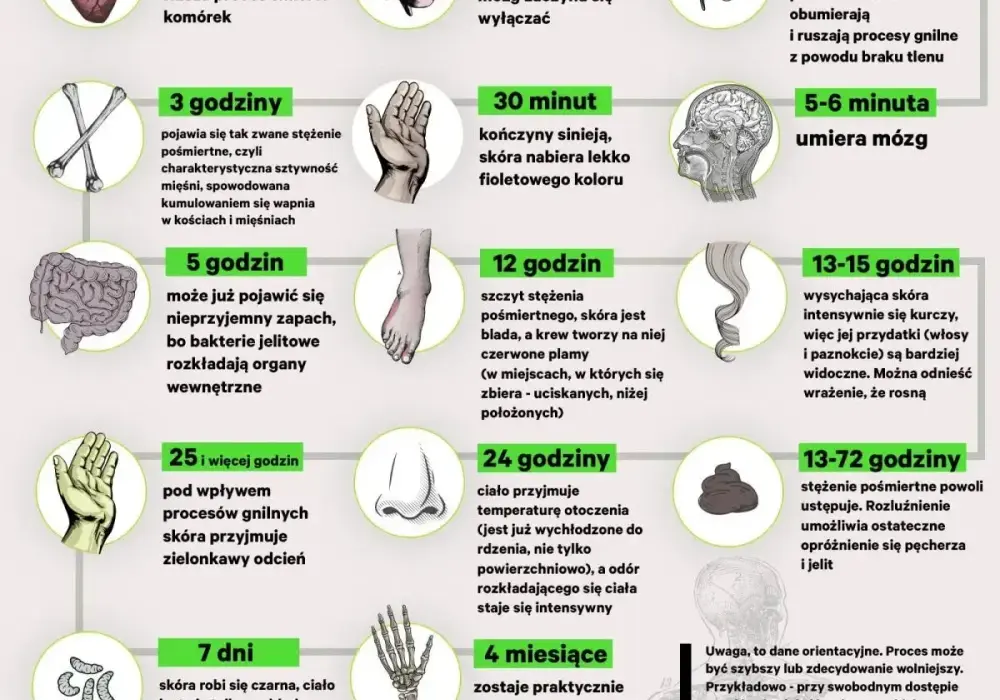 Prosektorium - jak działa badanie pośmiertne? Odpowiedzi