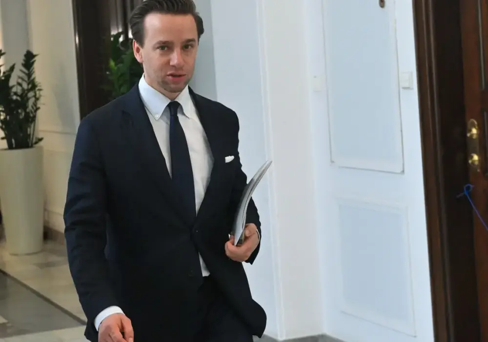 Wicemarszałek Sejmu - Rola, wybór i wpływ na obrady