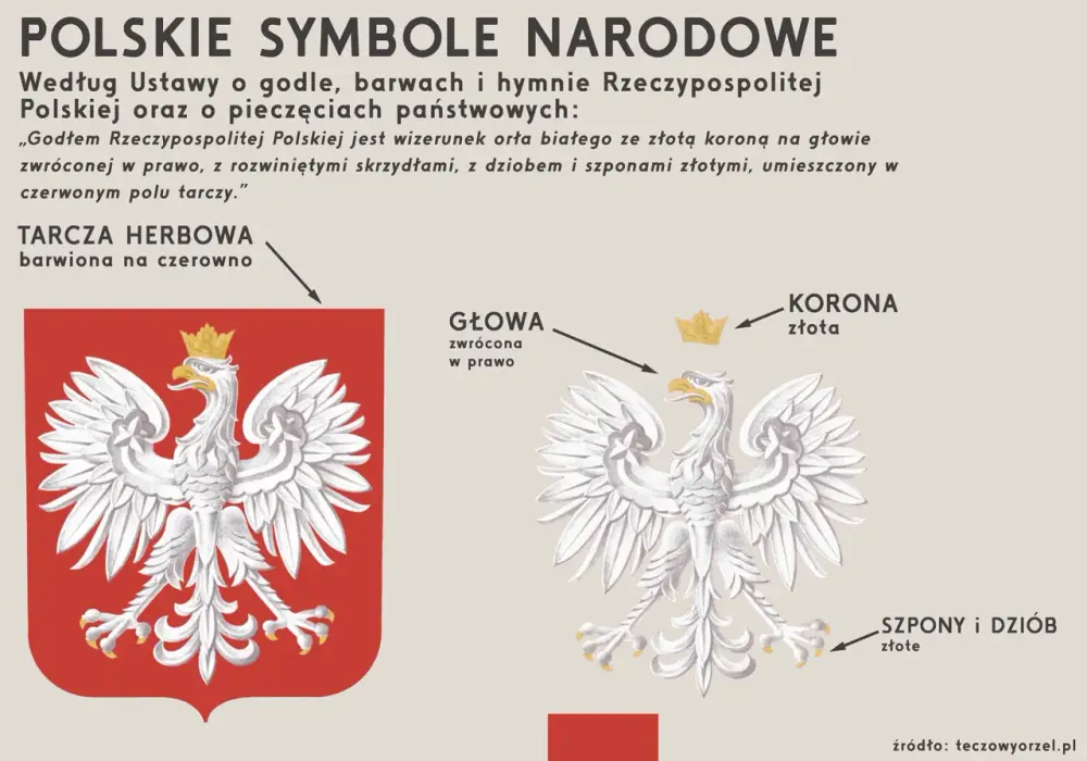 Polskie symbole narodowe - godło, barwy, hymn. Jak ich używać?
