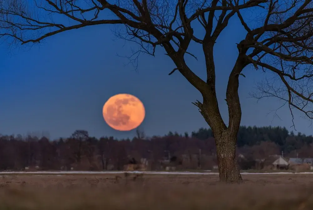 Jak zrobić zdjęcie księżyca: 5 sprawdzonych technik fotografowania nocą