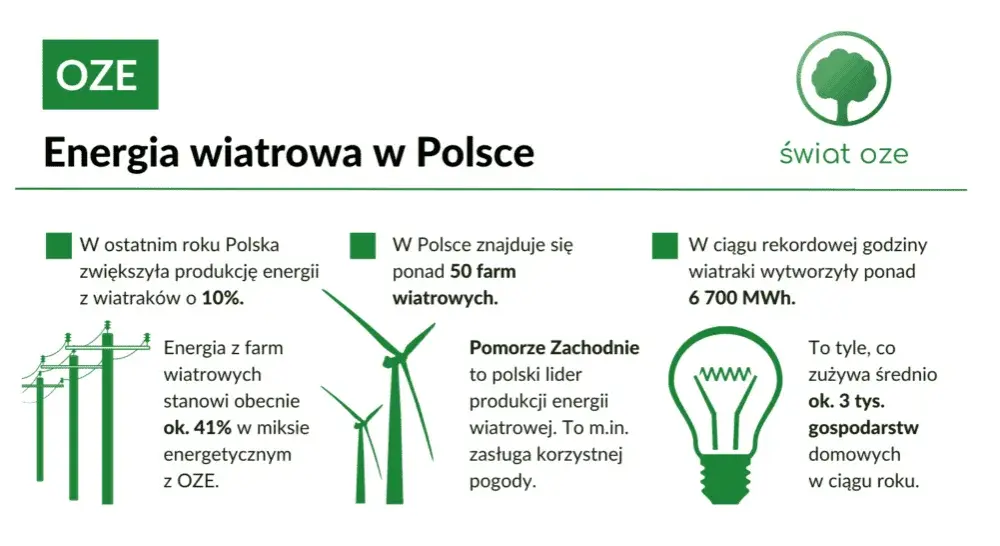 Ile w Polsce jest elektrowni wiatrowych? Zaskakujące fakty i liczby