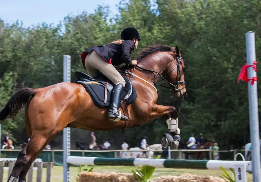 Jak wybrać buty do jazdy konnej, które naprawdę pracują z jeźdźcem