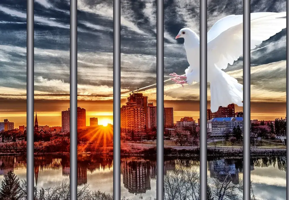 Jak uniknąć więzienia po wyroku? Sprawdź skuteczne strategie i porady
