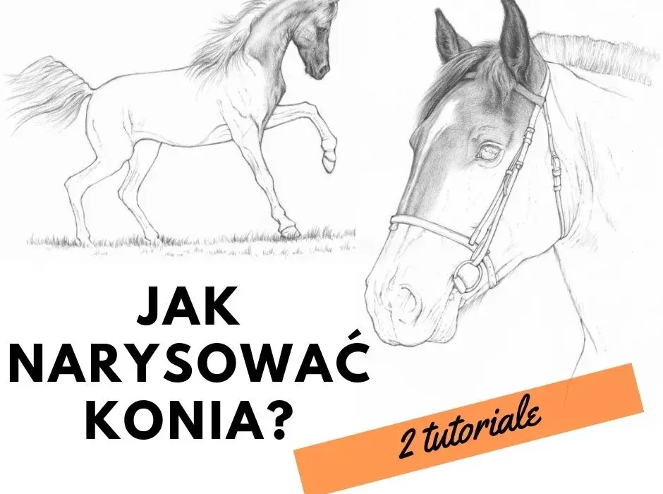 Jak narysować konie: proste techniki dla początkujących rysowników