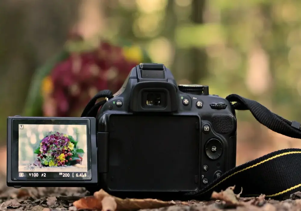 Jaka lustrzanka dla początkującego fotografa - uniknij błędów przy wyborze