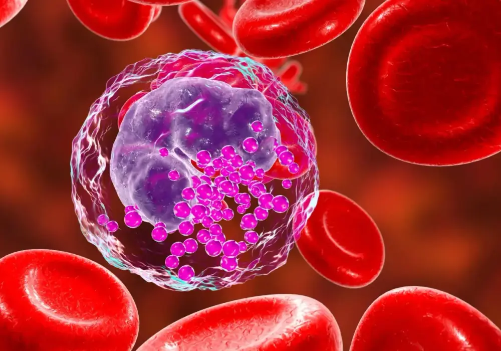 Bazofile a alergia - Co naprawdę mówią wyniki badań?