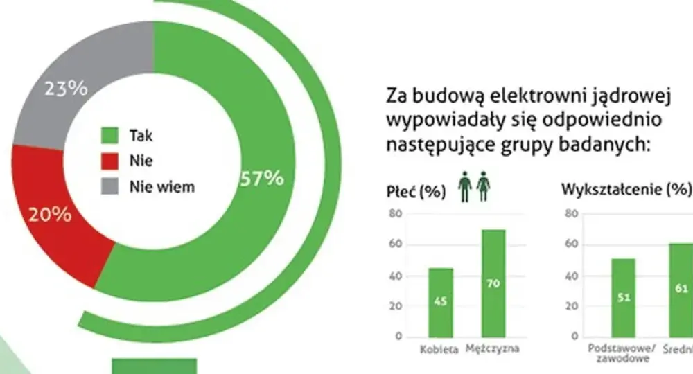 Atom w Polsce - Jaki jest realny status elektrowni jądrowej?