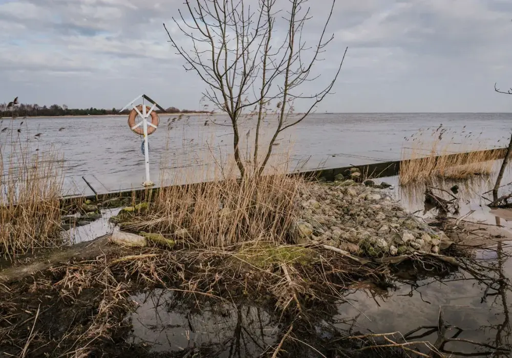 Gdzie Wisła spotyka Bałtyk? Przewodnik po ujściu
