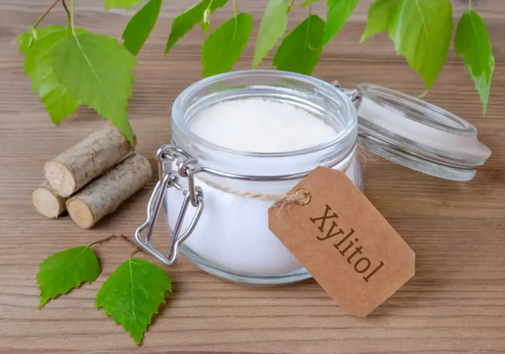 Ksylitol w maśle orzechowym dla psa: Jak chronić pupila? Poradnik