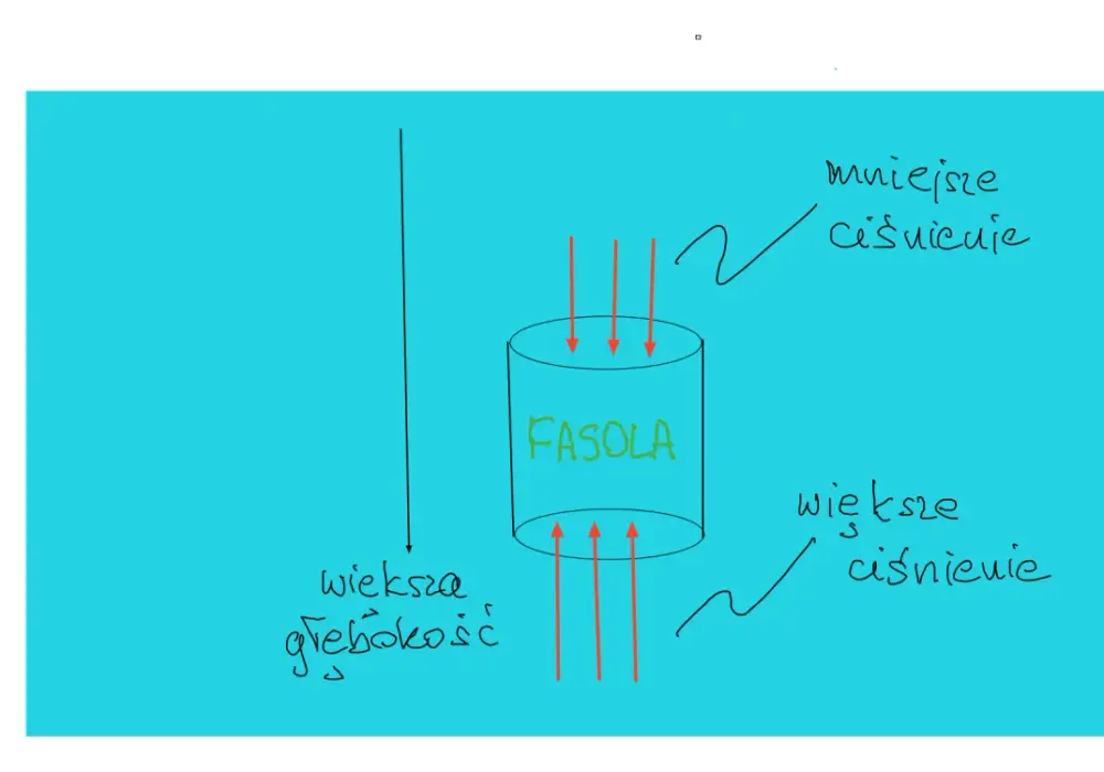 Siła wypadkowa - jak liczyć i unikać błędów?