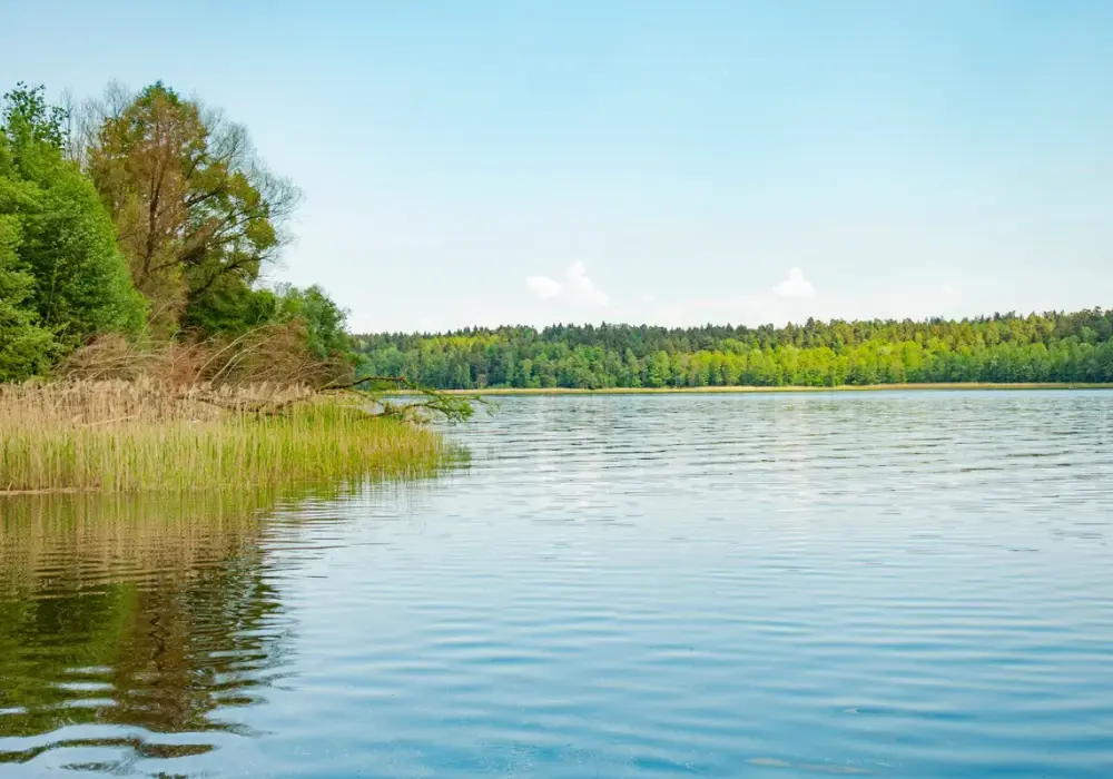 Jezioro Pamiątkowskie - Przewodnik Wędkarza