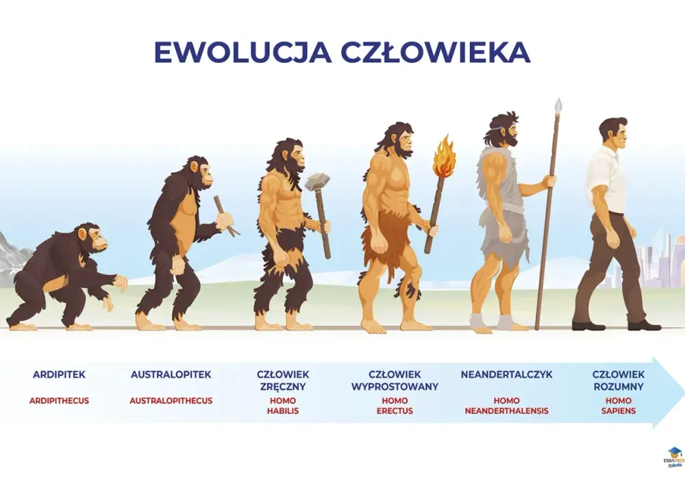Ewolucja człowieka - Co naprawdę wiemy? Odkryj fakty!