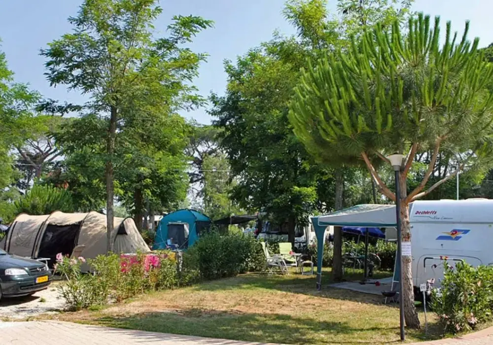  Park Albatros | Camping Toskania | Polecamy kamping w Włochach