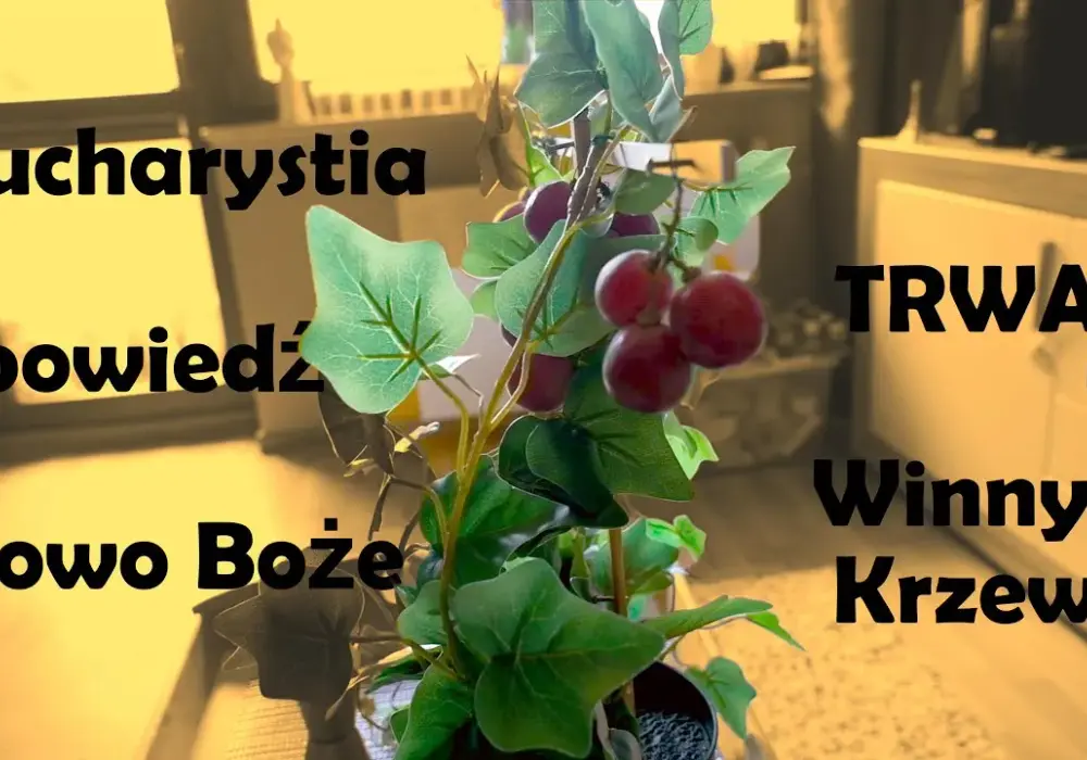 Duchowe przesłanie przypowieści o krzewie winnym w życiu chrześcijan