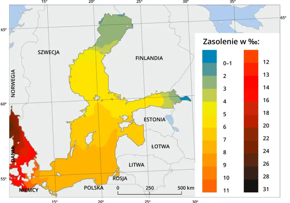 Mapa jodu nad Bałtykiem - Gdzie i kiedy jest go najwięcej?