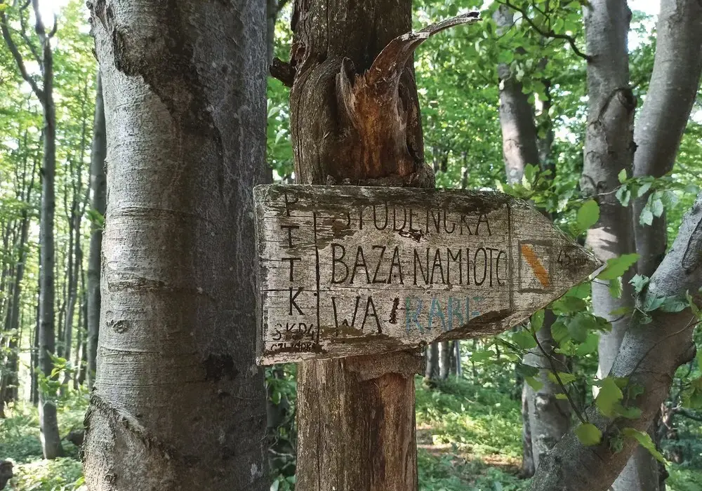 Gdzie w Polsce dziczej niż w Bieszczadach? Oto najdziksze miejsca!