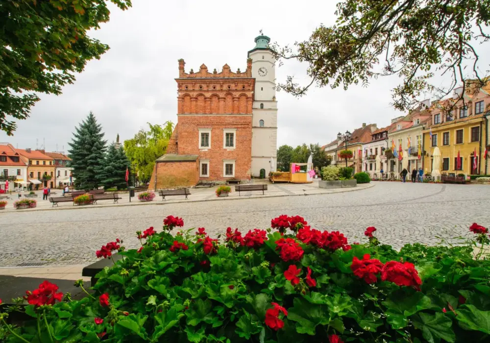 Ile mieszkańców ma Sandomierz? Sprawdź najnowsze dane i prognozy