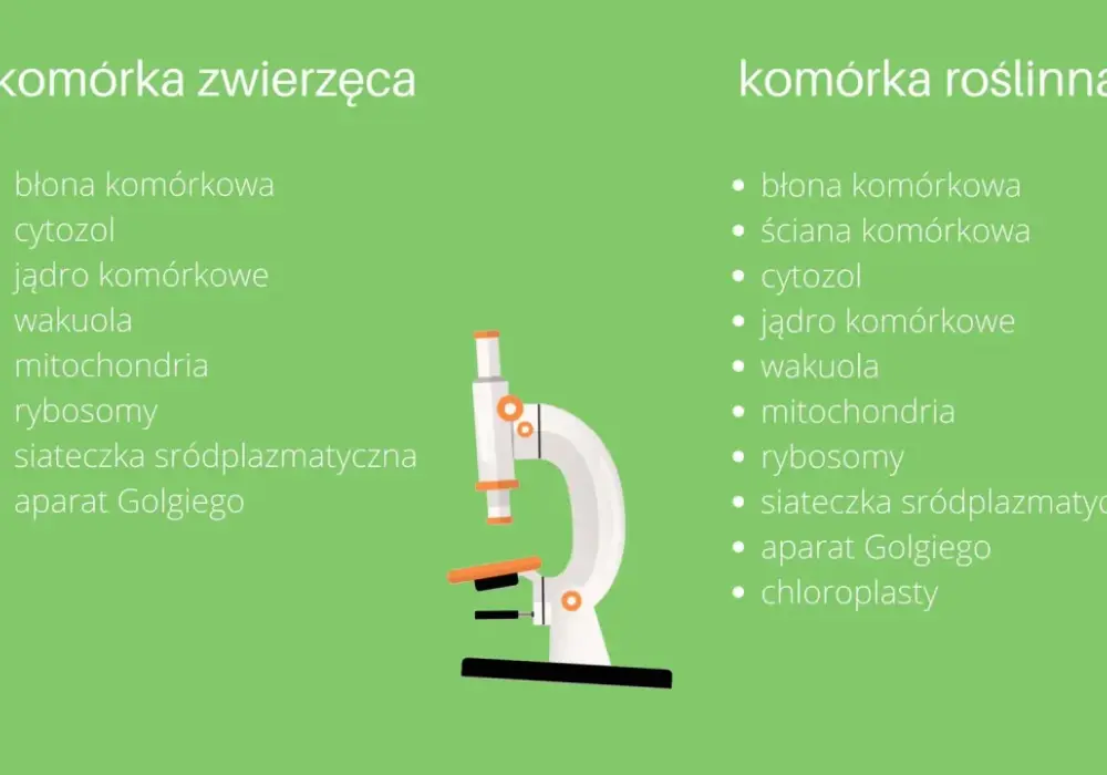 Komórka zwierzęca - Jak rozpoznać jej budowę i uniknąć błędów?