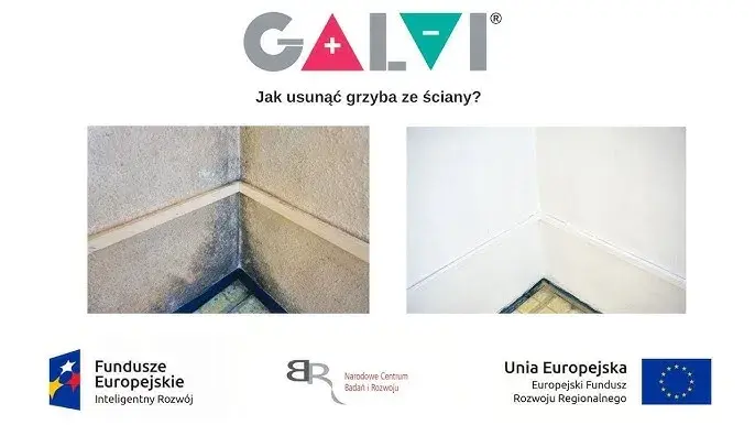 Skuteczne sposoby jak usunąć grzyb ze ściany: poradnik krok po kroku