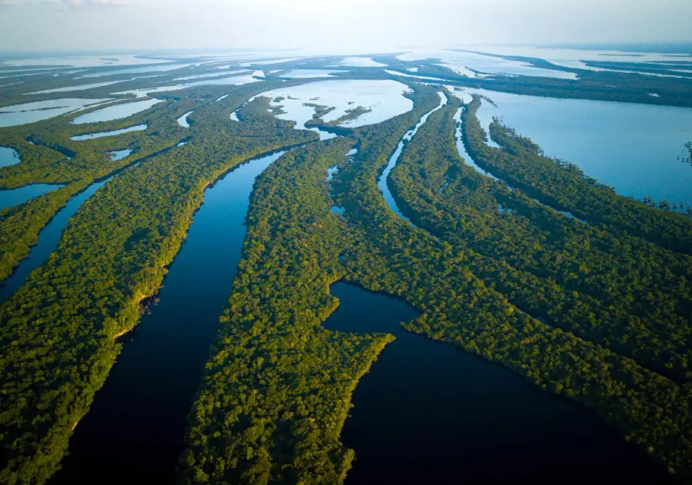 Amazonia - Prawdziwe oblicze. Historia, kultura i podróże