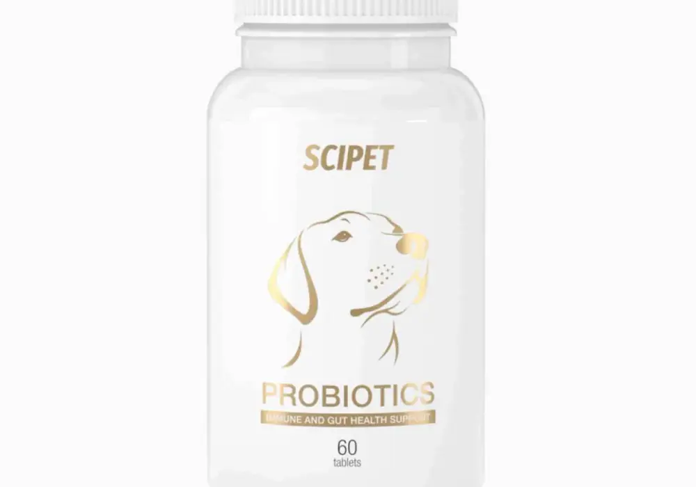 Gdzie kupić probiotyk dla psa? Odkryj najlepsze opcje i porady