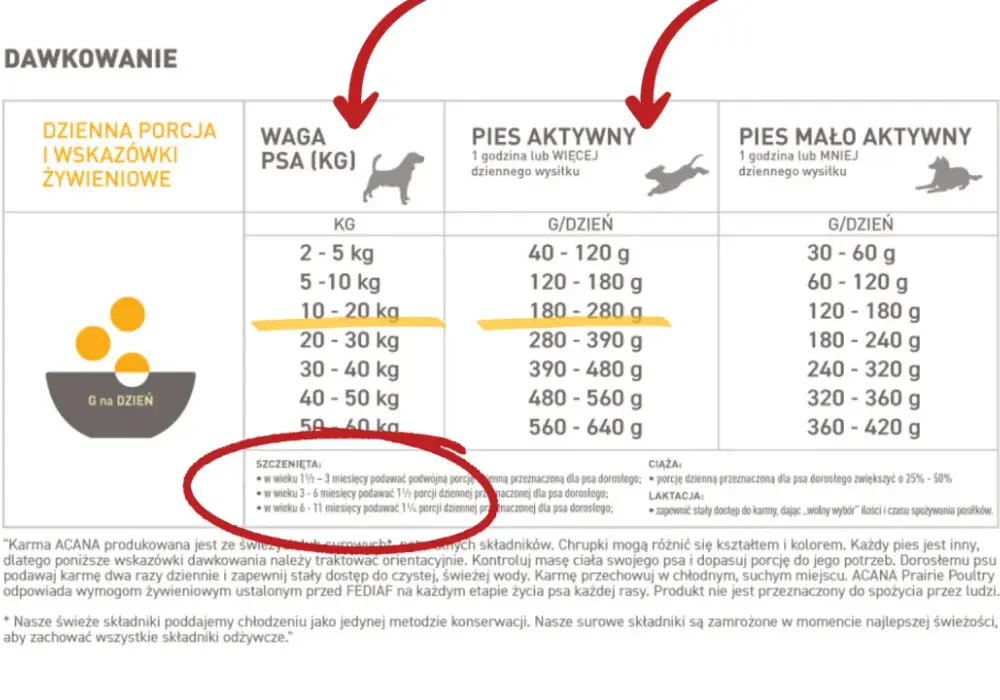 Ile karmy dla szczeniaka? Precyzyjne dawkowanie krok po kroku
