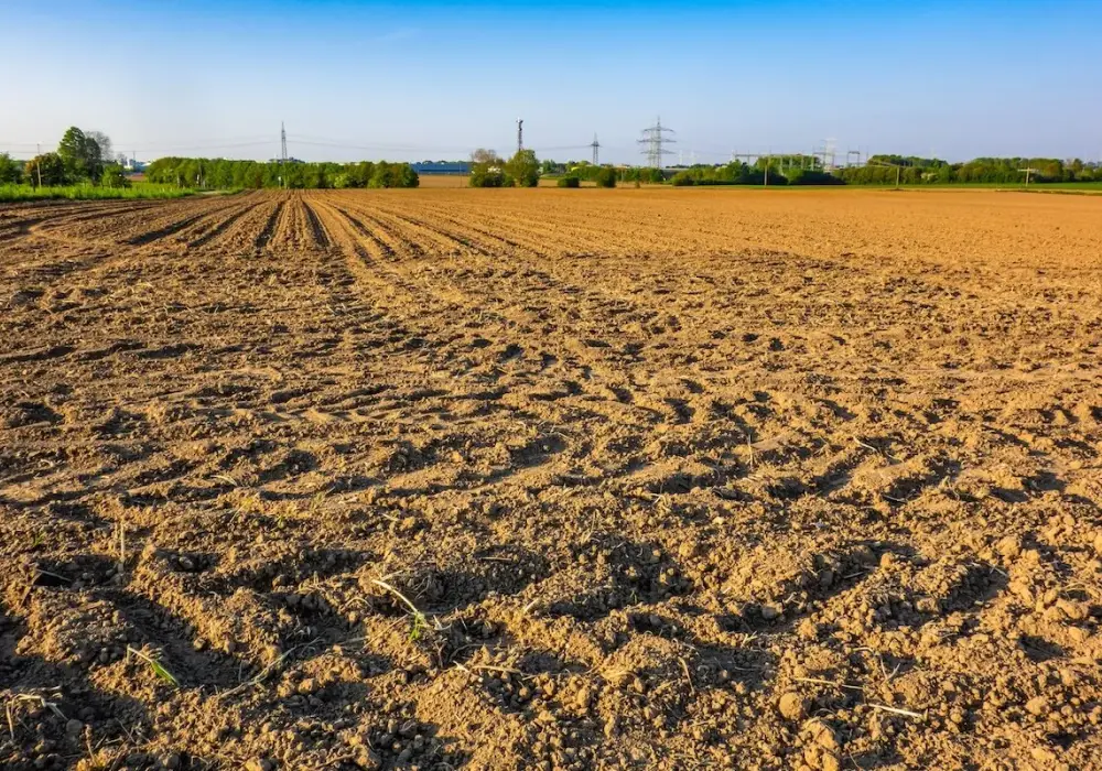Podatek od działki rolnej: PCC, VAT i zwolnienia poradnik