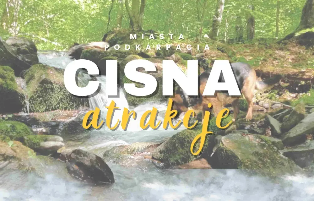 Cisna atrakcje – odkryj niezwykłe miejsca, które musisz zobaczyć