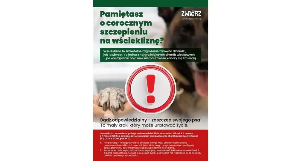 Wścieklizna - Szybka reakcja ratuje życie! Poradnik