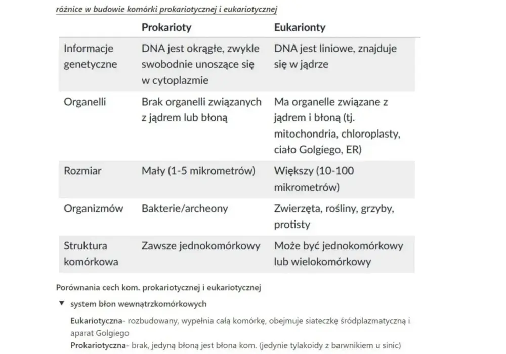 Komórki prokariotyczne i eukariotyczne - czy jądro to jedyna różnica?