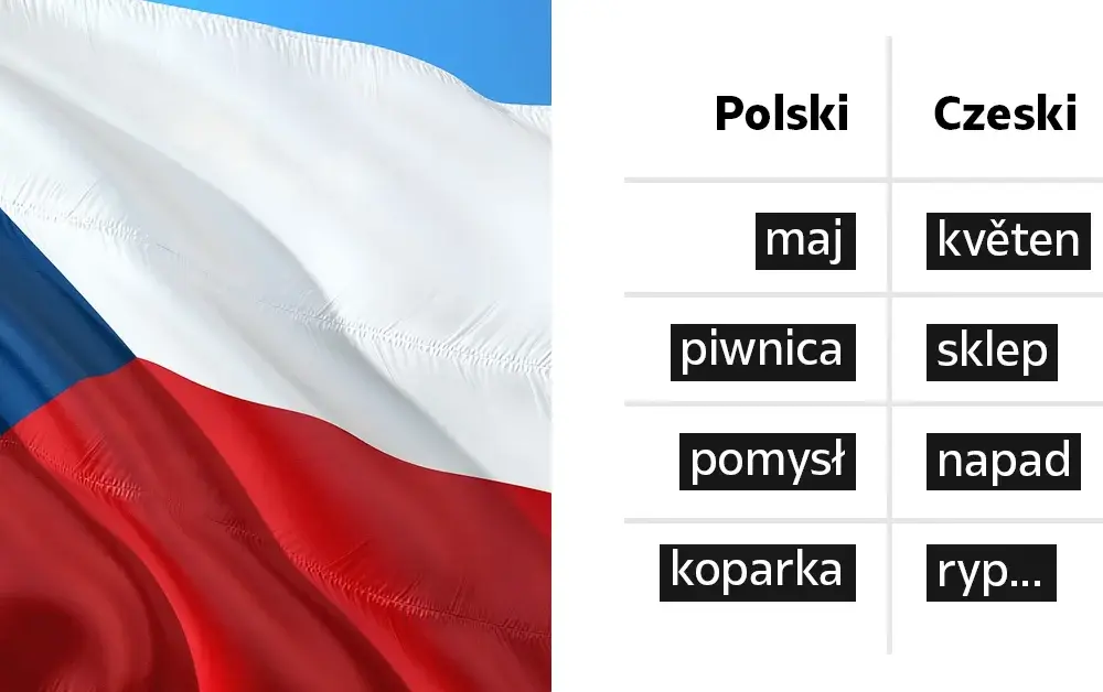 Czeski a polski: Porównanie języków i kultury