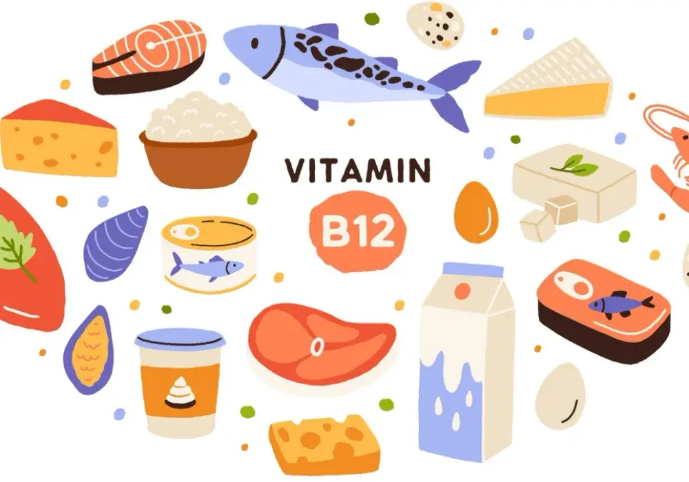 Niedobór witaminy B12 - Wchłanianie ważniejsze niż dieta?