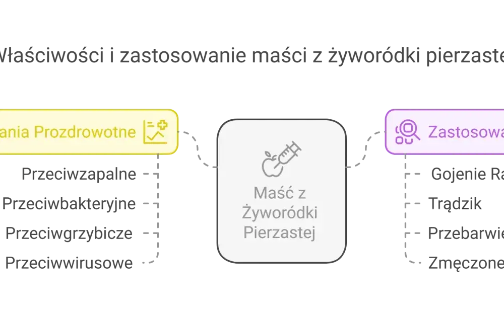 Maść z żyworódki - kiedy pomaga, a kiedy lepiej jej nie używać