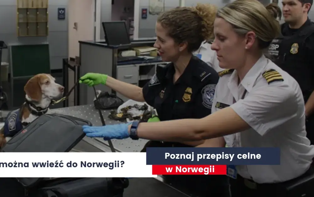Co można przewieźć w bagażu podręcznym do Norwegii? Zasady i ograniczenia
