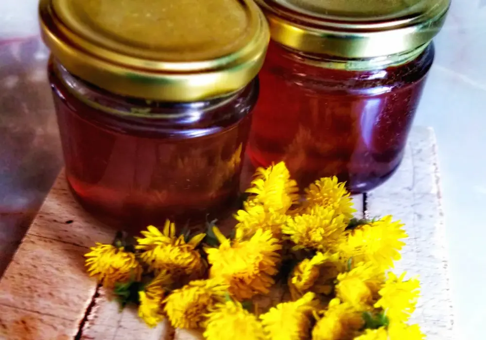 Syrop z mniszka lekarskiego - przepis, sekrety i zastosowanie