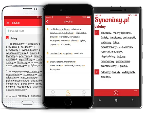 Słownik syno: Znajdź idealne synonimy i wzbogacaj swój język