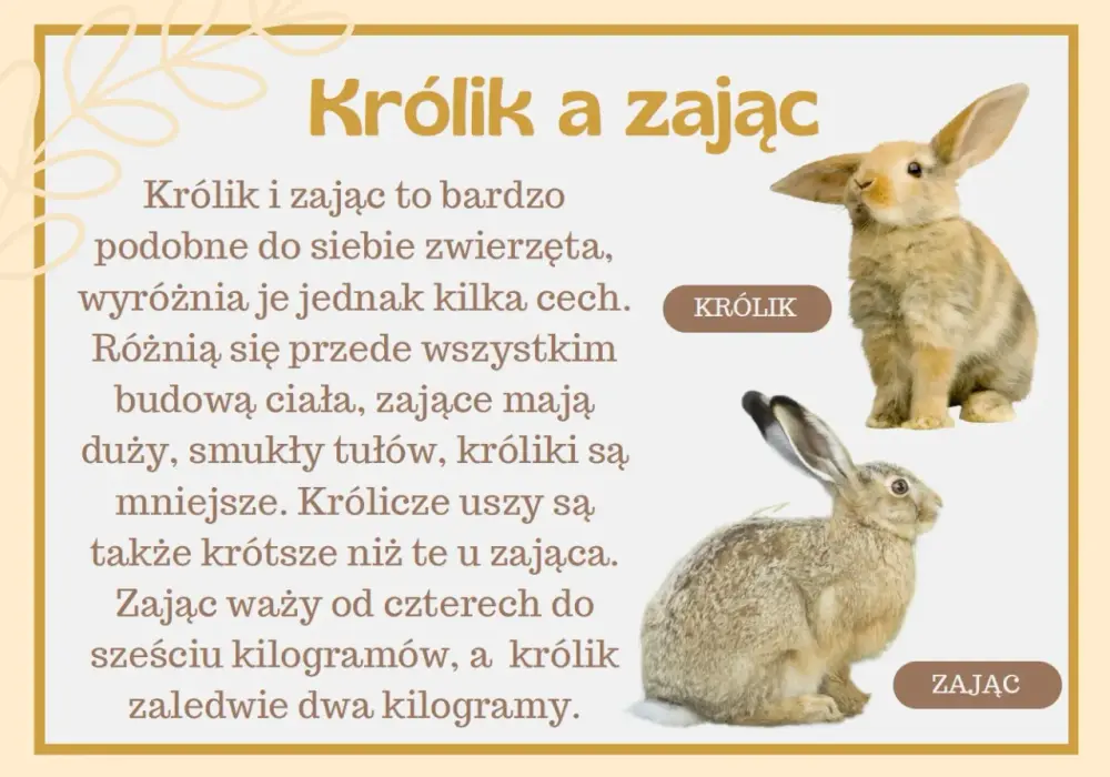 Dzień Królika - kiedy wypada i jak świętować z dziećmi?